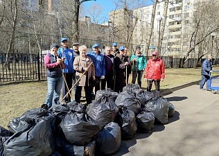 Традиционный весенний субботник