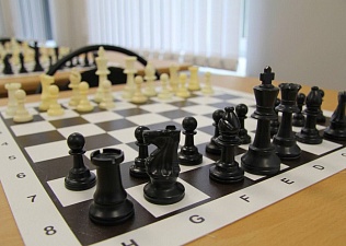 Профактив столицы сразится в шахматном турнире