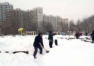 В ЮАО профсоюзные активисты вышли на уборку снега